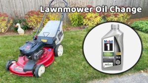 Change Lawn Mower Oil in 6 Easy Steps