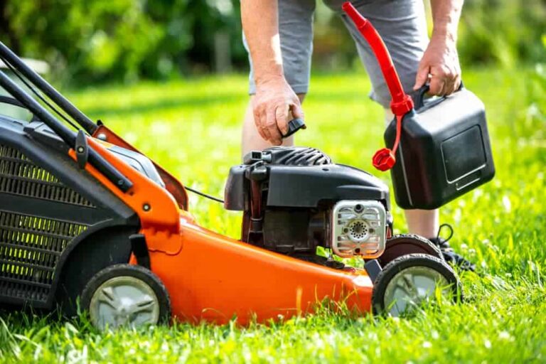 What Kind of Oil Does a Lawn Mower Take