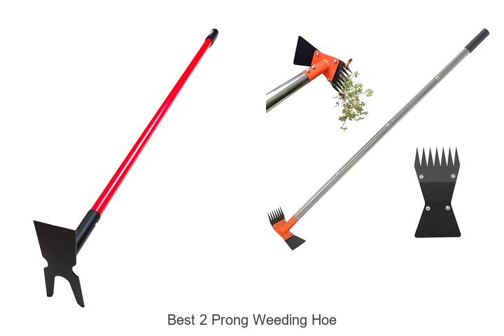 Top 15 Best 2 Prong Weeding Hoe You Can’t Miss Today