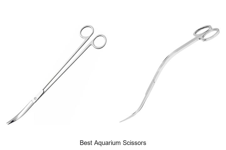 Top 15 Best Aquarium Scissors That Will Transform Aquascapes