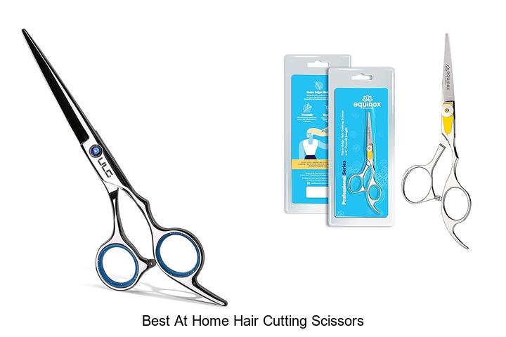 Top 15 Best At Home Hair Cutting Scissors You Need Now
