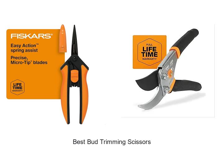 Top 15 Best Bud Trimming Scissors You Can’t Miss Today