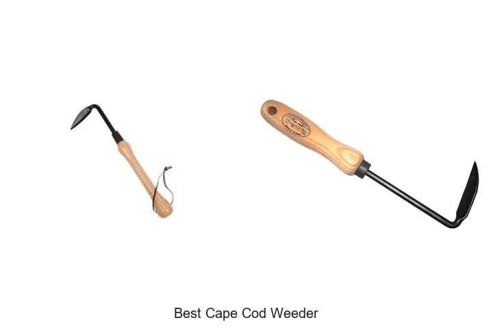 Top 15 Best Cape Cod Weeder Tools You Can’t Miss Today