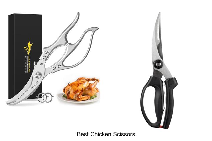 Top 15 Best Chicken Scissors That Will Blow Your Mind!