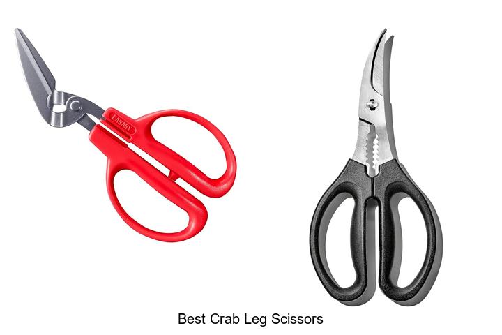 Top 15 Best Crab Leg Scissors You Can’t Live Without