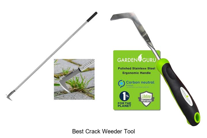 Top 15 Best Crack Weeder Tool That Will Change Your Lawn!