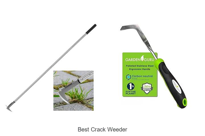 Top 15 Best Crack Weeder Tools That Will Change Gardening!
