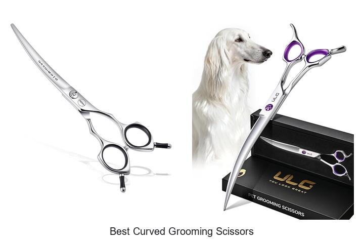 Top 15 Best Curved Grooming Scissors You Can’t Miss!