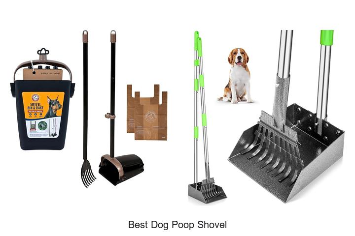 Top 15 Best Dog Poop Shovel That Will Change Cleanup Forever