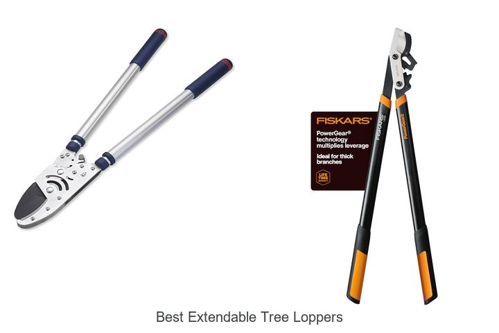 Top 12 Best Extendable Tree Loppers You Can’t Miss Today