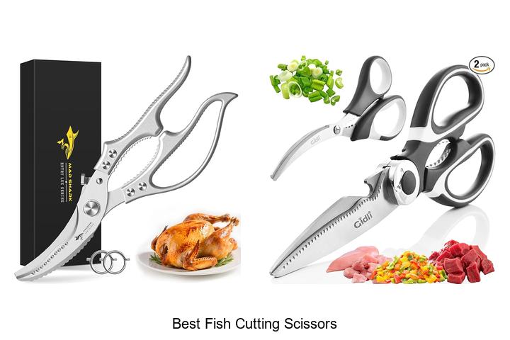 Top 15 Best Fish Cutting Scissors You Can’t Miss Today