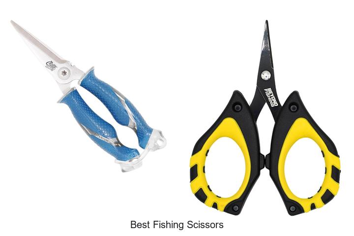 Top 15 Best Fishing Scissors That Will Change Your Game
