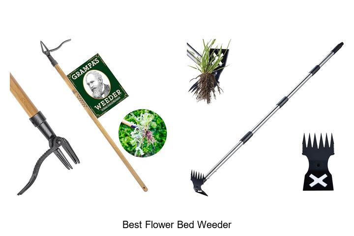 Top 15 Best Flower Bed Weeder Tools That Will Amaze You