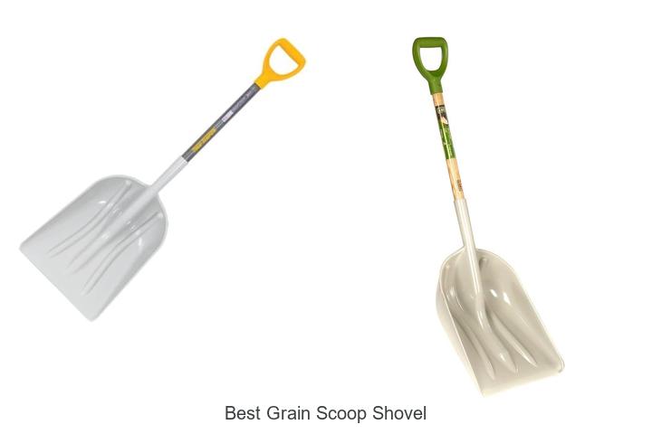 Top 15 Best Grain Scoop Shovel Deals You Can’t Miss
