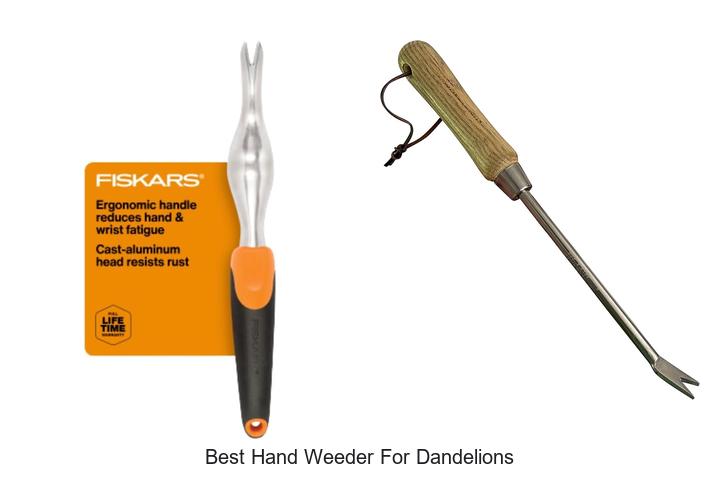 Top 15 Best Hand Weeder for Dandelions You Must Try!