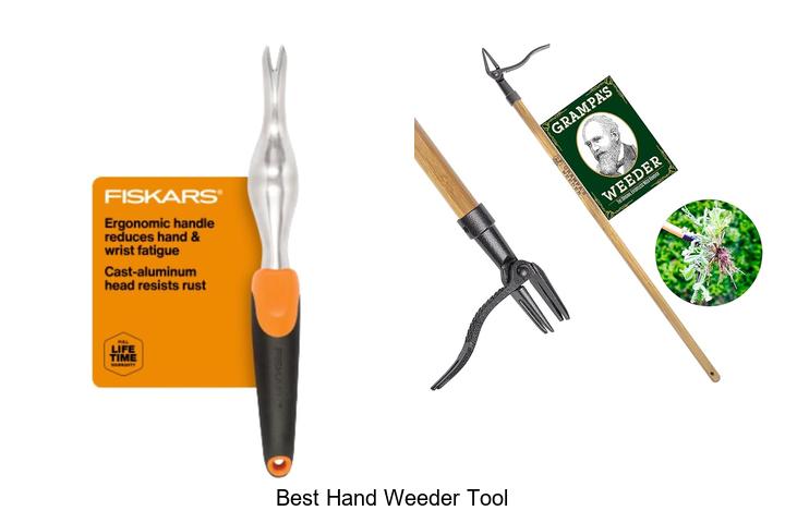 Top 15 Best Hand Weeder Tool That Makes Gardening Easy
