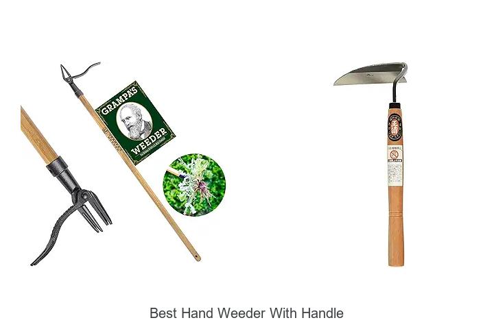 Top 15 Best Hand Weeder With Handle You Can’t Miss!