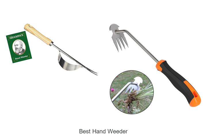 Top 15 Best Hand Weeder Tools That Will Transform Weeding!