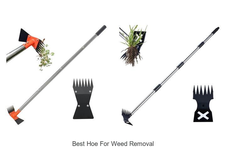 Top 15 Best Hoe For Weed Removal That Gardeners Swear By