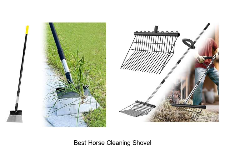Top 15 Best Horse Cleaning Shovel That Will Change Your Routine