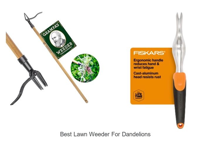 Top 15 Best Lawn Weeder for Dandelions That Actually Work!