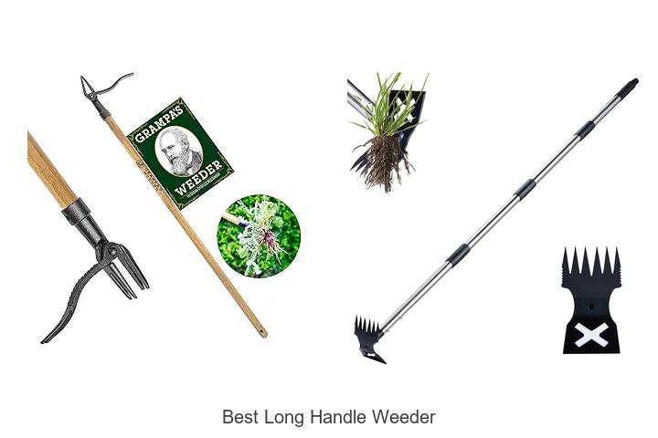 Top 15 Best Long Handle Weeder You Need Now!