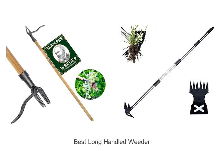 Top 15 Best Long Handled Weeder You Can’t Miss Today