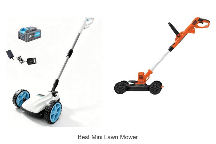 Top 12 Best Mini Lawn Mower That Will Blow Your Mind!
