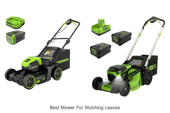 Top 12 Best Mower for Mulching Leaves That Will Amaze You