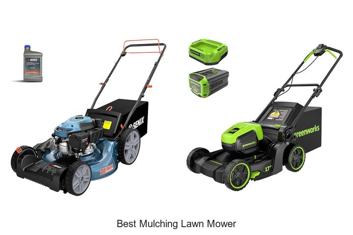 Top 12 Best Mulching Lawn Mower That Will Blow Your Mind