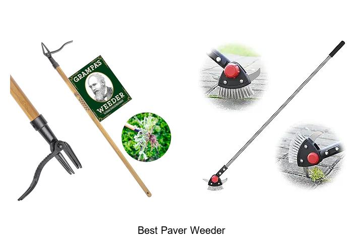 Top 15 Best Paver Weeder Tools That Will Blow Your Mind!