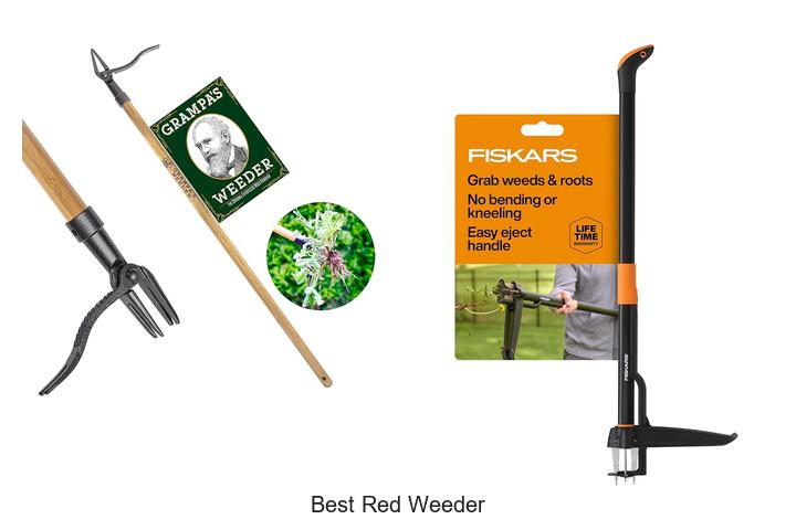 Top 15 Best Red Weeder Tools You Can’t Miss Today