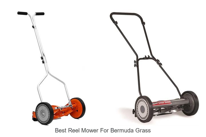 Top 12 Best Reel Mower for Bermuda Grass That WOW!