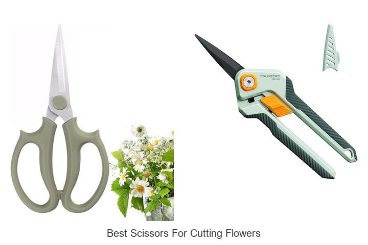 Top 15 Best Scissors for Cutting Flowers You Need Today