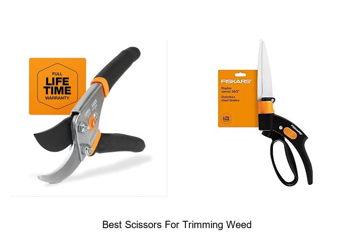 Top 15 Best Scissors for Trimming Weed You Need Now!