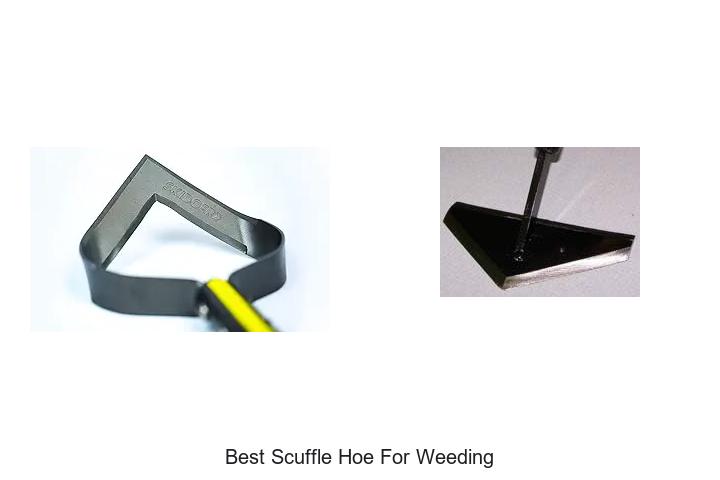 Top 15 Best Scuffle Hoe For Weeding That Will Change Gardening