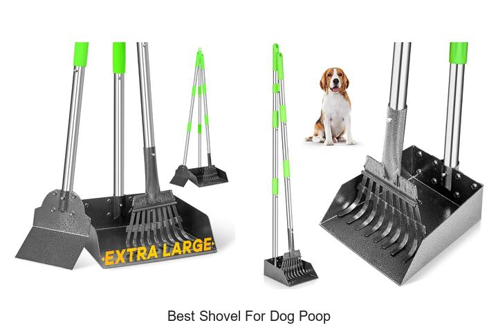 Top 15 Best Shovel for Dog Poop That Dog Owners Swear By