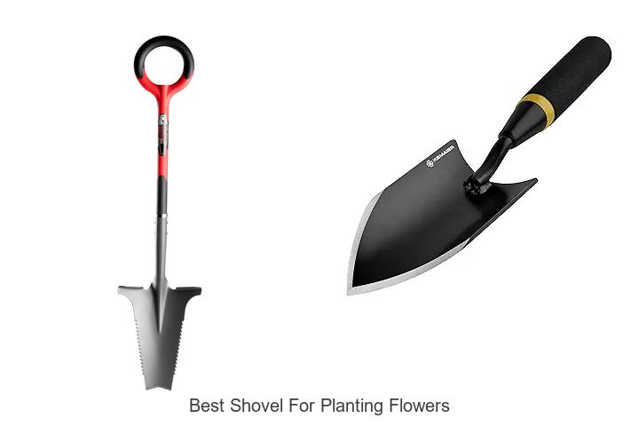 Top 15 Best Shovel for Planting Flowers You Need Now