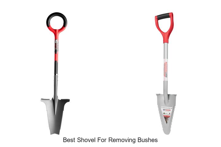 Top 15 Best Shovel for Removing Bushes That Will Amaze You