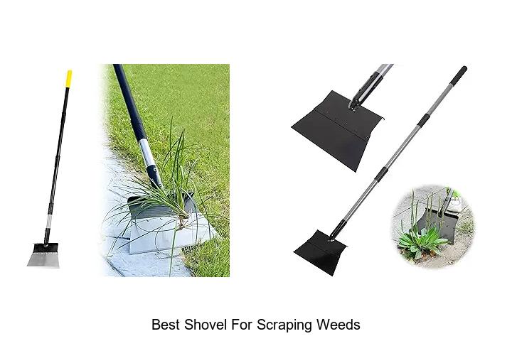 Top 15 Best Shovel for Scraping Weeds You Can’t Miss