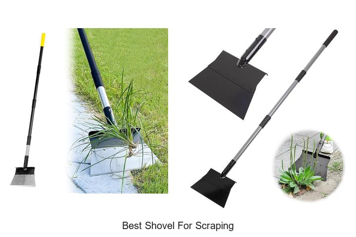 Top 15 Best Shovel For Scraping That Will Blow Your Mind