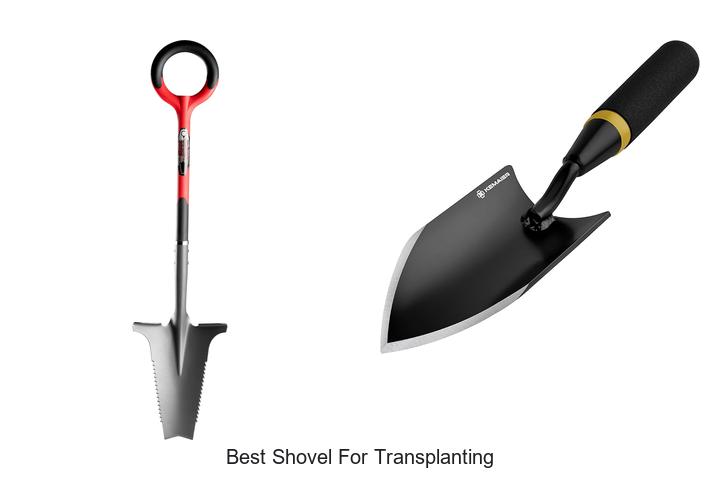 Top 15 Best Shovel for Transplanting: Must-Have Picks!