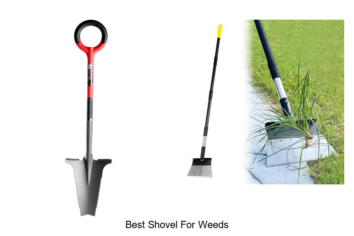 Top 15 Best Shovel for Weeds That Will Change Gardening!