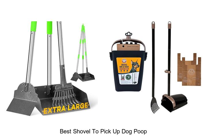 Top 15 Best Shovel To Pick Up Dog Poop – Must-Have Picks!