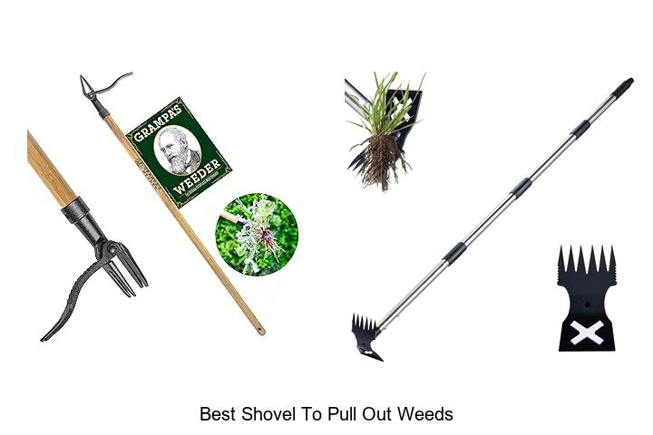 Top 15 Best Shovel To Pull Out Weeds Fast & Easy!