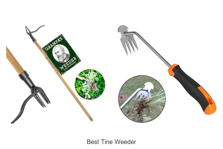 Top 15 Best Tine Weeder Tools You Can’t Miss