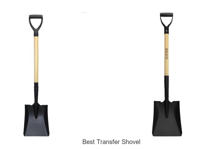 Top 15 Best Transfer Shovel Picks That Will Blow Your Mind
