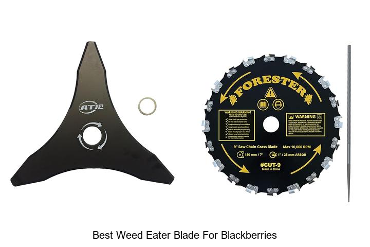 Top 15 Best Weed Eater Blade for Blackberries Revealed!