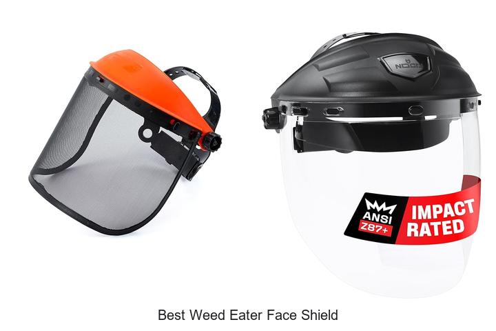 Top 15 Best Weed Eater Face Shield That Will Blow Your Mind