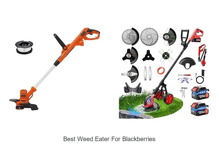 Top 15 Best Weed Eater For Blackberries You Can’t Miss!